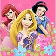 Lets Party By Hallmark Disney Fanciful Princess Lunch Napkins