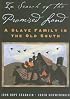 In Search of the Promised Land: A Slave Family in the Old South (New Narratives in American History) (New Narratives in American History)