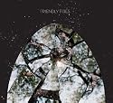Friendly Fires