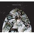 Friendly Fires