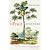 The Fruit Hunters: A Story of Nature, Adventure, Commerce, and Obsession