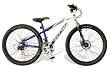 2007 Coyote Tombstone 13 Dual Slalom Dual Disc Bike