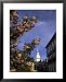 Lowell House, Harvard, Cambridge, MA Framed Art Poster Print by James Lemass, 25x31