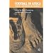 Football in Africa: Conflict, Conciliation and Community