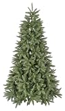 Snowtime CT05079 Künstlicher Weihnachtsbaum Louise Fir Einhakbar Polyethylen 180 cm, grün