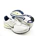 NIKE Air 10K+ New Running Silver Womens