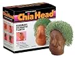 Chia Guy Collectable