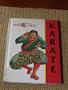 Karate (Illustrated History of Martial Arts)