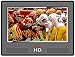 Access HD PTV7000 Portable Digital TV 7" LCD Screen Access HD PTV7000 Portable Digital TV 7" LCD Screen