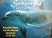 SEASCAPES a musical journey. Beautiful music and natural symphony of the sea