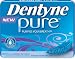 Dentyne Pure Gum, Mint with Herbal Accents, 9-Piece Packages (Pack of 10)