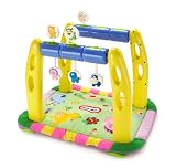 Learning Steps Activity Gym