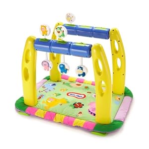 Learning Steps Activity Gym