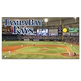 MLB Tampa Bay Rays Large Floor Mat