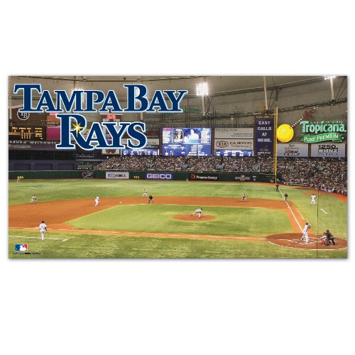 MLB Tampa Bay Rays Large Floor Mat
