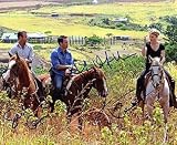 HAWAII FIVE-0 (Alex O'Loughlin, Scott Caan & Lauren German) 8x10 Cast Celebrity Photo Signed In-Person
