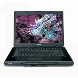 Toshiba Satellite L305D-S5873 15.4-inch Laptop (2.0 GHz AMD Turion X2 RM-70 Processor, 2 GB RAM, 160 GB Hard Drive, DVD Drive, Vista Premium) Blue