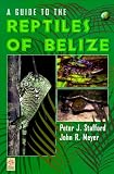 A Guide to the Reptiles of Belize (Natural World)