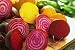 Beets Baby Ball Seeds