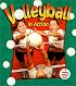 Volleyball in Action (Sports in Action)