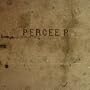 Perseverance - The Remixes