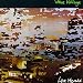Live Herald von Steve Hillage - alle Infos