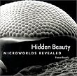 Hidden Beauty: Microworlds Revealed