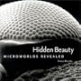 Hidden Beauty: Microworlds Revealed