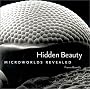 Hidden Beauty : Microworlds Revealed