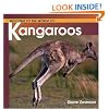 Kangaroos (Welcome to the World Series)
