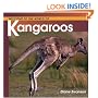 Welcome to the World of Kangaroos (Welcome to the World Series)