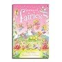 Stories of Fairies (Usborne Young Reading)