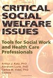 Critical Social Welfare Issues: Tools for Social Work and Health Care Professionals (Haworth Social Work Practice) (Haworth Social Work Practice)