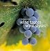 Book Wine Tastes Wine Styles