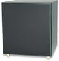 Pinnacle Digital Sub 600 Dual 12" 600-Watt Powered Subwoofer