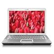 HP Pavilion DV6880SE...