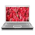 HP Pavilion DV6880SE 15.4" Special Edition Laptop (1.83 GHz Intel Core 2 Duo T5550 Processor, 3 GB RAM, 250 GB Hard Drive, Blu Ray Drive, Vista Premium)