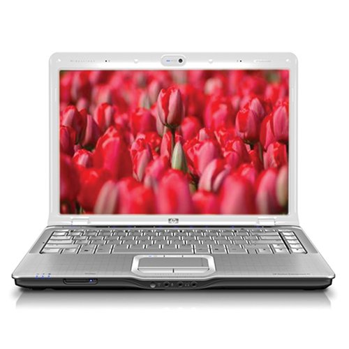 HP Pavilion DV6880SE 15.4-inch Special Edition Laptop (1.83 GHz Intel Core 2 Duo T5550 Processor, 3 GB RAM, 250 GB Hard Drive, Blu Ray Drive, Vista Premium)