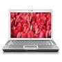 HP Pavilion DV6880SE 15.4-inch Special Edition Laptop (1.83 GHz Intel Core 2 Duo T5550 Processor, 3 GB RAM, 250 GB Hard Drive, Blu Ray Drive, Vista Premium)