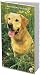 labrador18  - Labrador Retrievers 2010 Pocket Planner