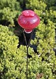 Bird Brain Happy Hummer Stake Red Recycled Glass Remove Easily