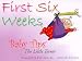 Book First Six Weeks: Baby Tips the Little Terror (Baby Tips)