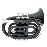 Cecilio Black Nickel Plated Bb Pocket Trumpet w / Case and Accessories - B000ETLXJ4