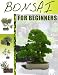Bonsai For Beginners - Become a Bonsai Master Overnight, And Enjoy The Peace And Tranquillity Bonsai Gardening Brings Bonsai For Beginners - Become a Bonsai Master Overnight, And Enjoy The Peace And Tranquillity Bonsai Gardening Brings