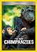 The New Chimpanzees