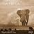 Portraits from Africa