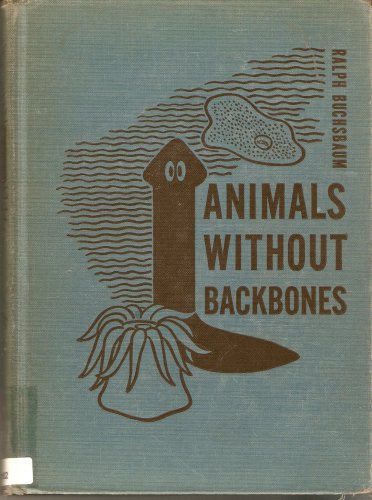Invertebrates