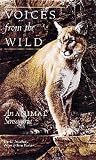  Voices from the Wild:  Dave Bouchard