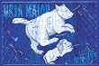 Canvas Print, Ursa Major and Leo Minor #3 - 42 x 28
