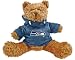 NFL Hoodie Bear